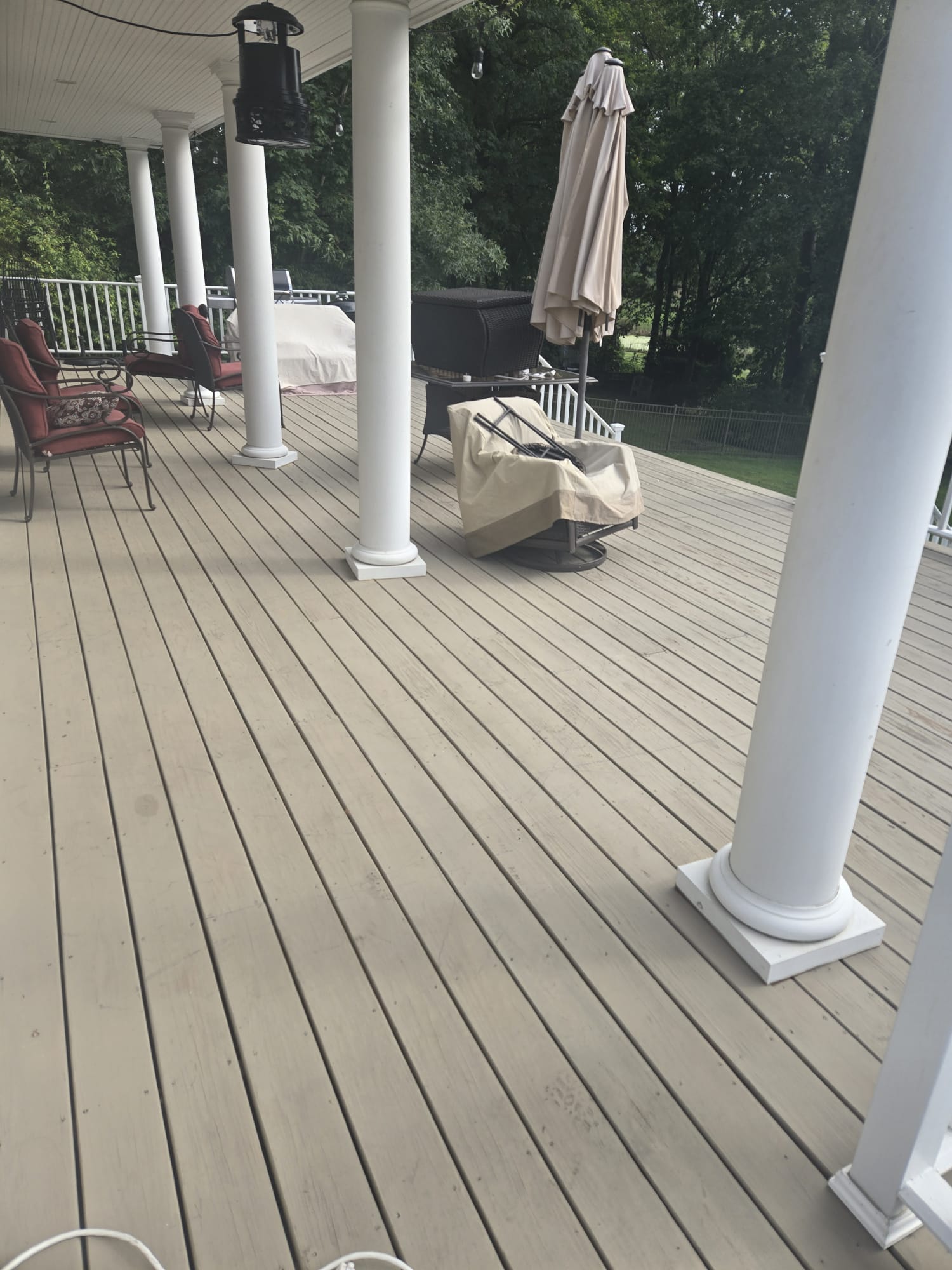 WhatsApp Image 2026-01-16 at 4.21.20 PM